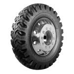 Pantanera Goodyear