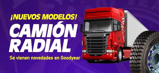 bcamionradial